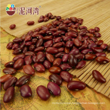 Hot Selling types of Dark Red Kidney Beans Price Best